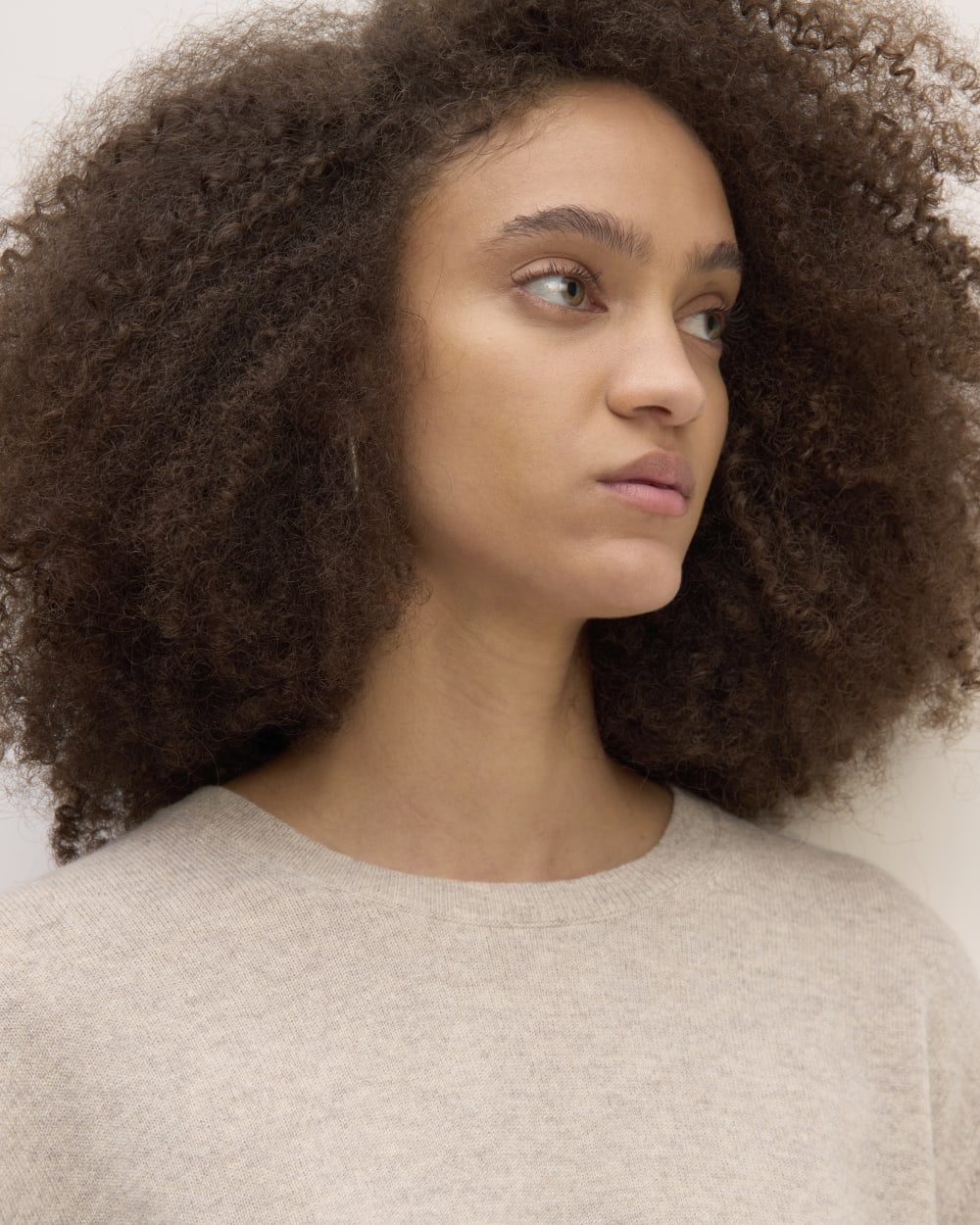 The Classic Crew in Cashmere | Canvas - Image 4