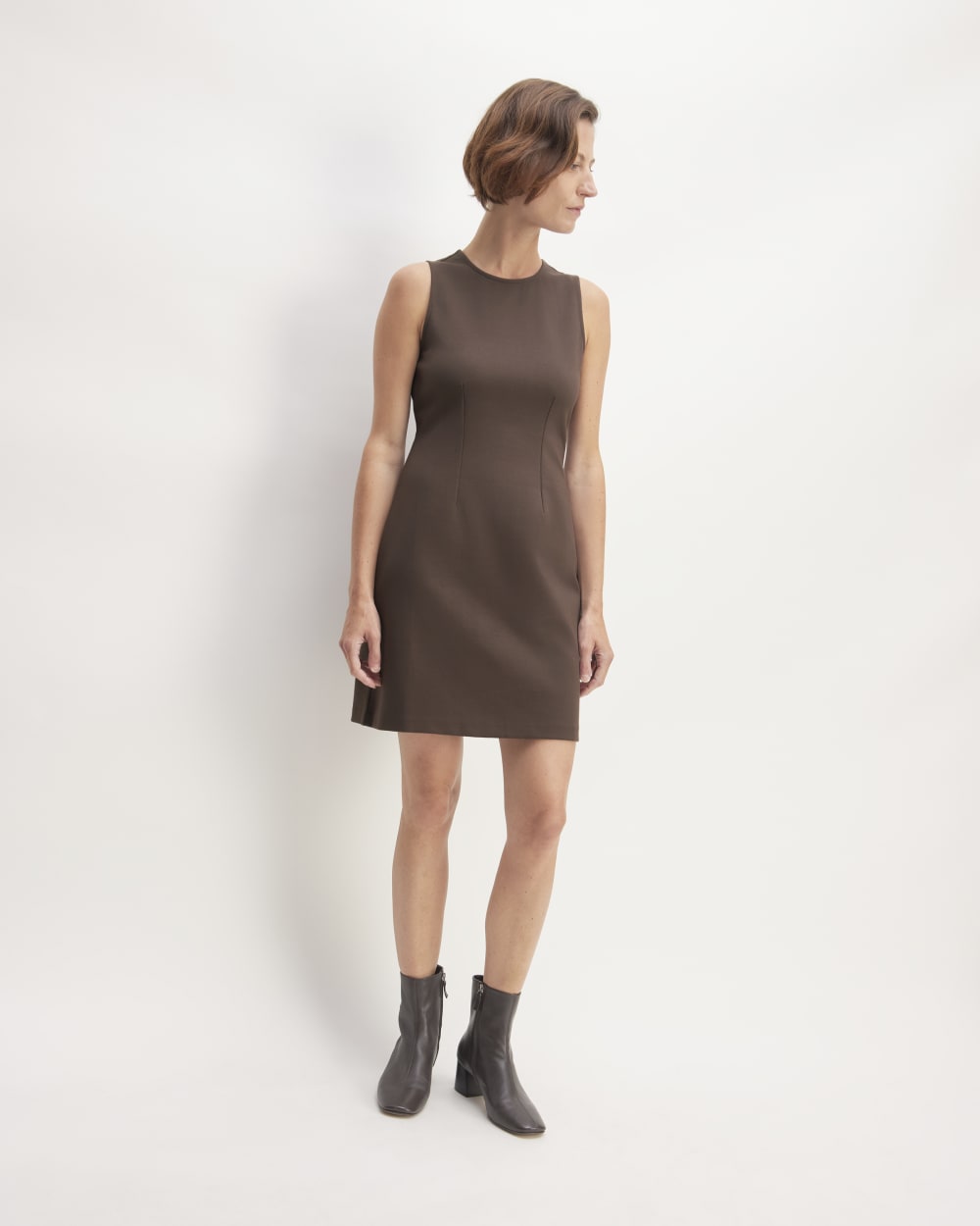 The Dream '90s Shift Dress | Earth Brown - Image 3
