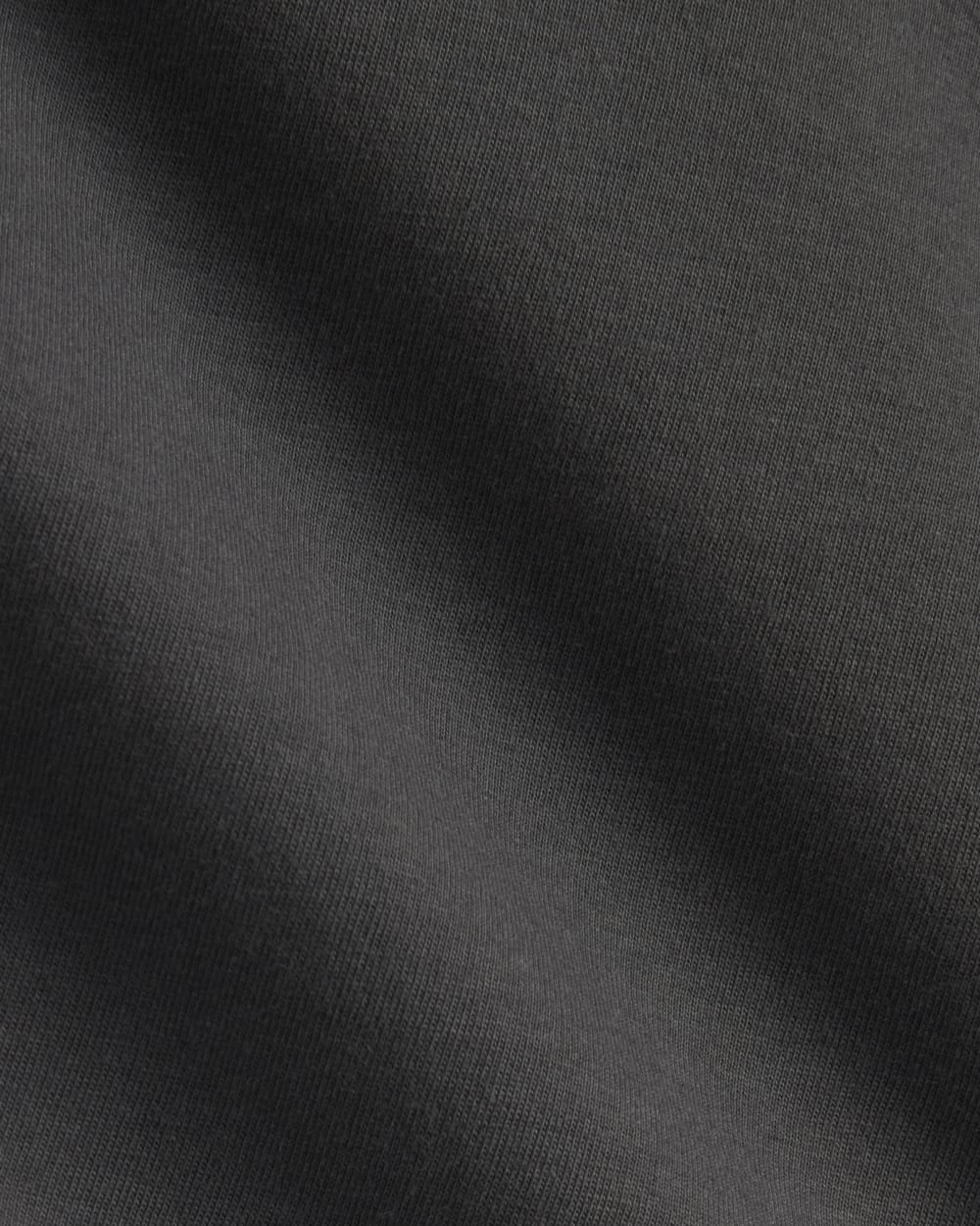 The Everlane x Parks Project Box-Cut Tee | Forged Iron / Natural - Image 6