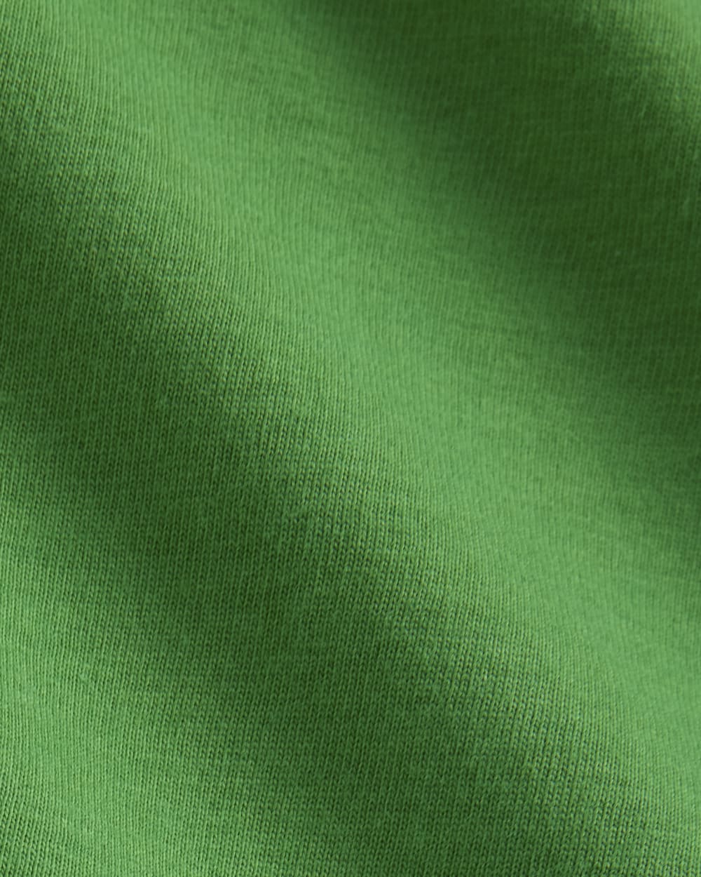 The Everlane x Parks Project Box-Cut Tee | Green / Natural - Image 6